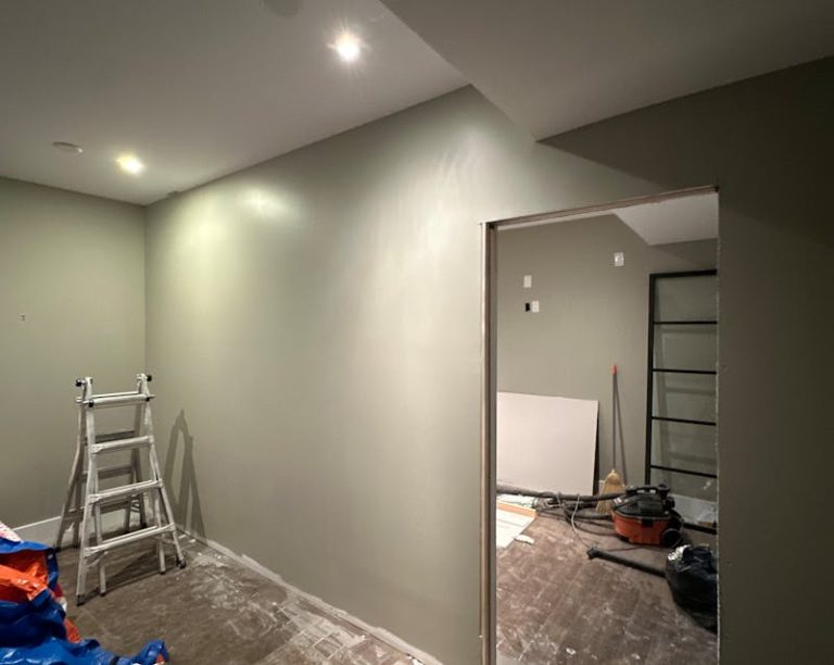 transforming a basement